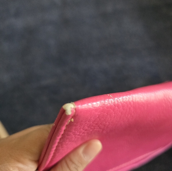 Rosa Mexicano Hand-Painted Women's Crossbody or Covertible Clutch - Picture 9 of 11